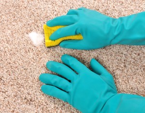 Cleaning carpet